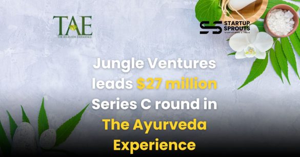the ayurveda experience
